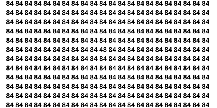 Só os mais atentos conseguem ver o número 48 em 12 segundos