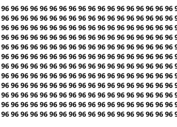 Só os mais atentos encontram o número 69 em 7 segundos