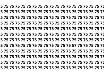 Apenas 3 em cada 20 pessoas conseguem achar o 57 neste desafio