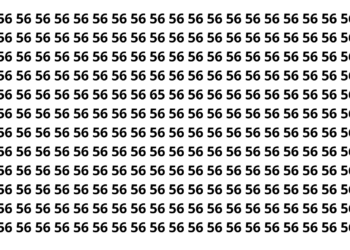 Só os mais atentos veem o número 65 em menos de 10 segundos