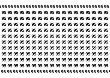 Apenas os mais atentos conseguem achar o 59 em segundos