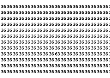 Apenas 3 em cada 20 conseguem ver o número escondido você consegue?