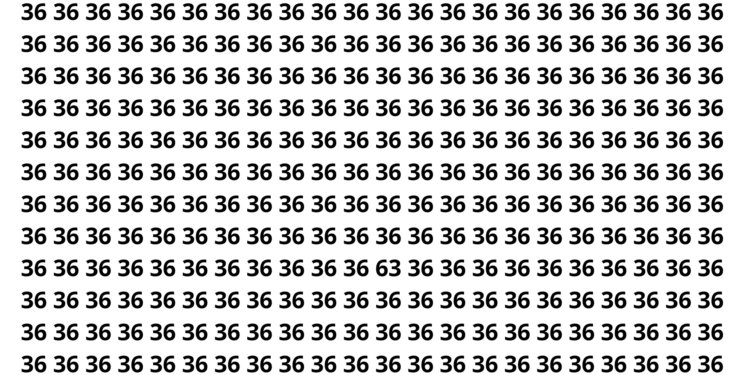 Apenas 3 em cada 20 conseguem ver o número escondido você consegue?