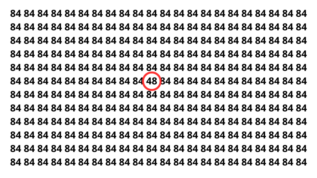 Só os mais atentos conseguem ver o número 48 em 12 segundos
