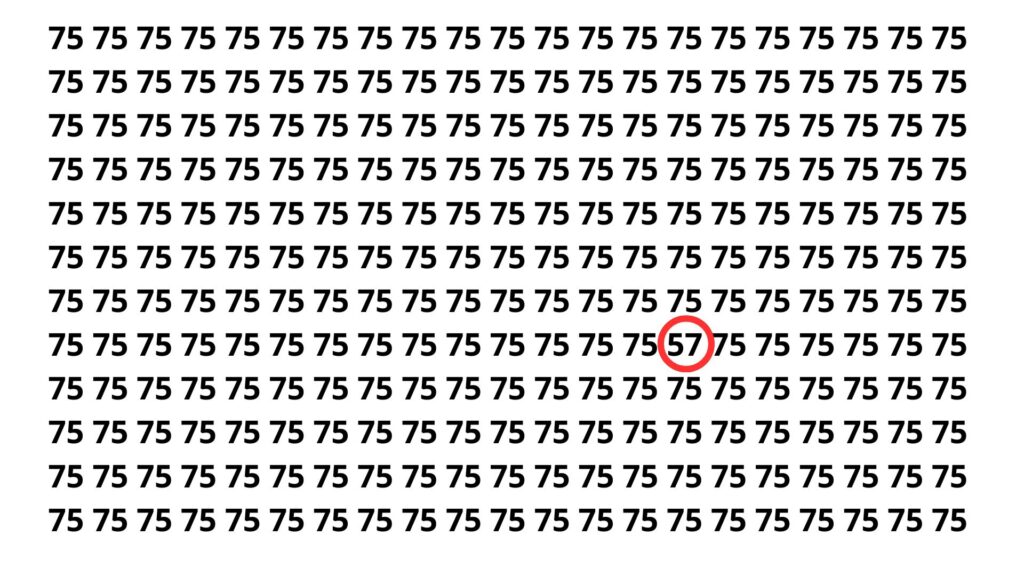 Apenas 3 em cada 20 pessoas conseguem achar o 57 neste desafio