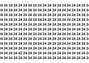 Só 15% conseguem achar o número 42 neste desafio