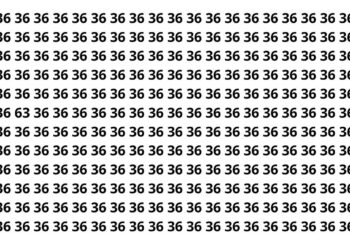 Você consegue encontrar “63” escondido em apenas 9 segundos?