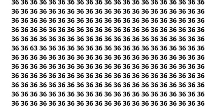 Você consegue encontrar “63” escondido em apenas 9 segundos?