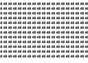 Apenas 3 em 20 pessoas encontram o 84 nesse desafio em 9s