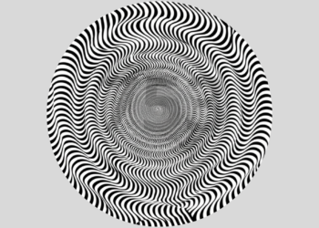 Essa imagem está deixando a internet confusa e poucos enxergam