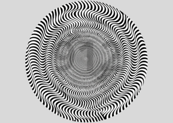 Apenas gênios conseguem ver o que está escondido nessa imagem