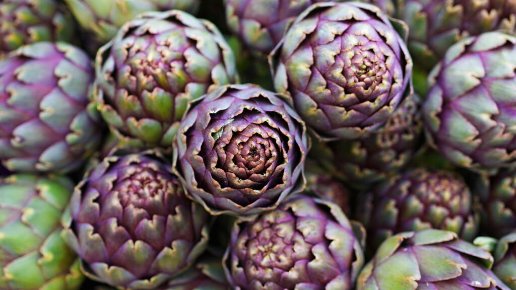 3 plantas que apoiam a saúde reprodutiva com nutrientes suaves