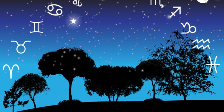 Veja qual planta expressa a energia de Áries, Touro e Gêmeos