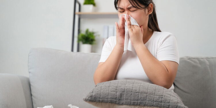 3 ervas que aliviam sintomas de alergias