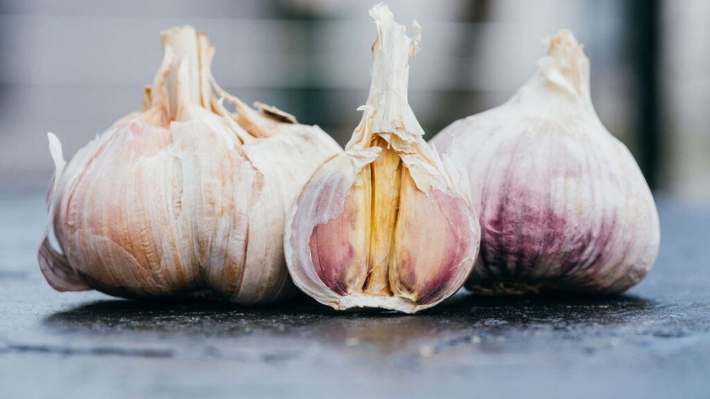 3 plantas que ajudam a melhorar os sintomas da gripe