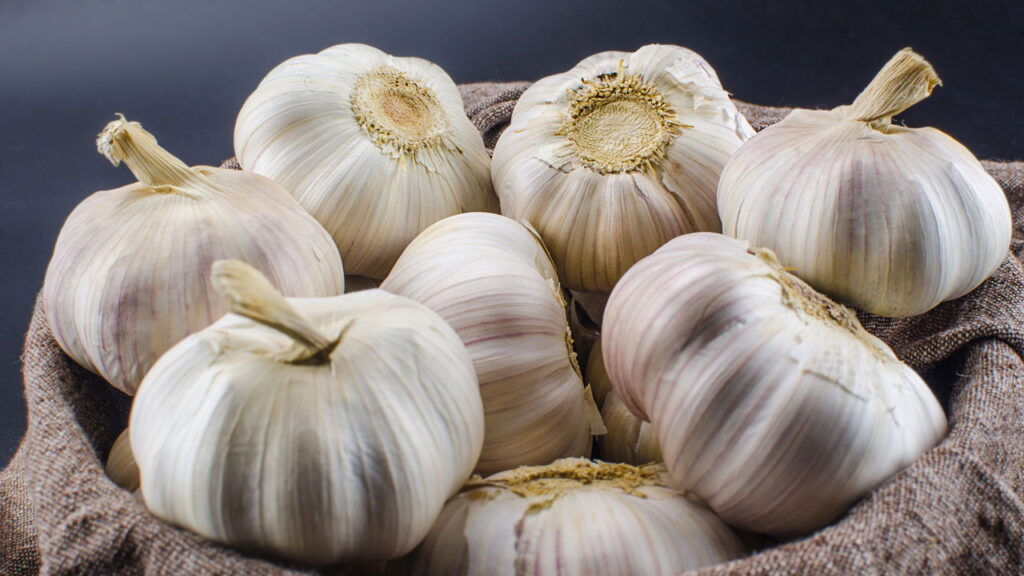 Dica genial para manter o alho potente e fresco por semanas