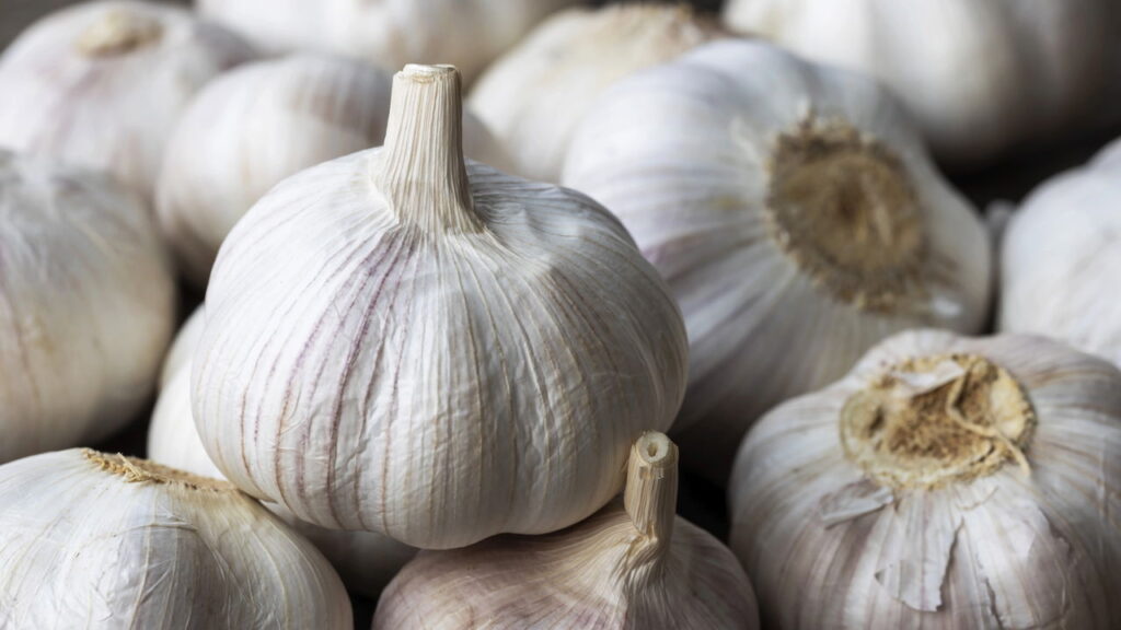 4 plantas que combatem parasitas intestinais de forma natural