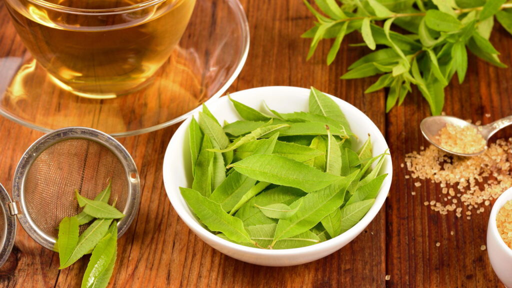 Essa erva calmante virou o xodó de quem sofre com insônia