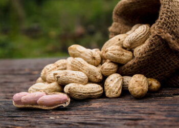 Planta muito popular pelo sabor é ideal para iniciantes em jardinagem