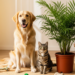 As plantas que você pode cultivar em casa sem risco para cães segundo especialistas
