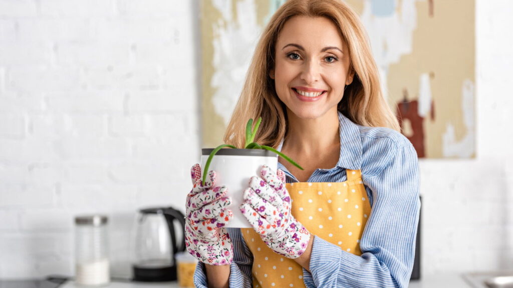 Respire melhor com essas 3 plantas que limpam o ar da sua casa