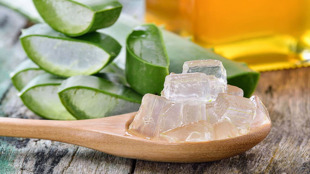 Como fazer géis naturais com babosa para hidratação e cura