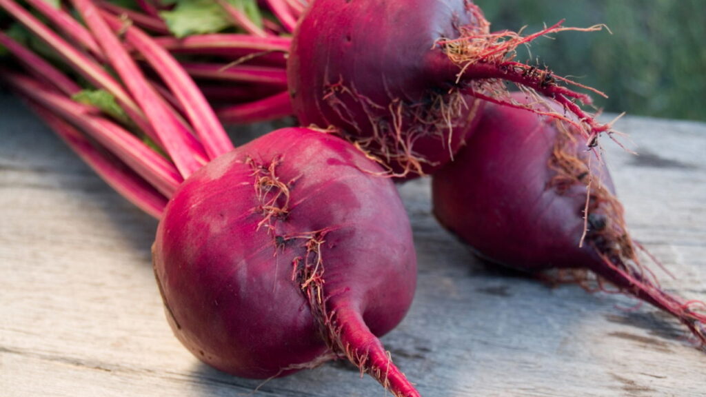 Hortaliça super nutritiva pode estar em seu quintal com essas dicas de cultivo