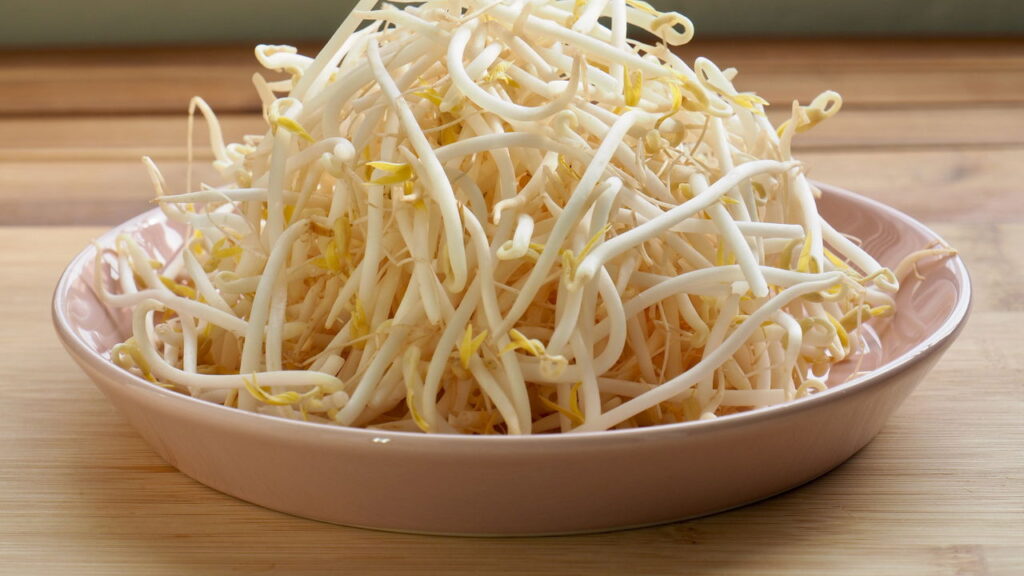 Receitas quentes com brotos para conforto em dias chuvosos