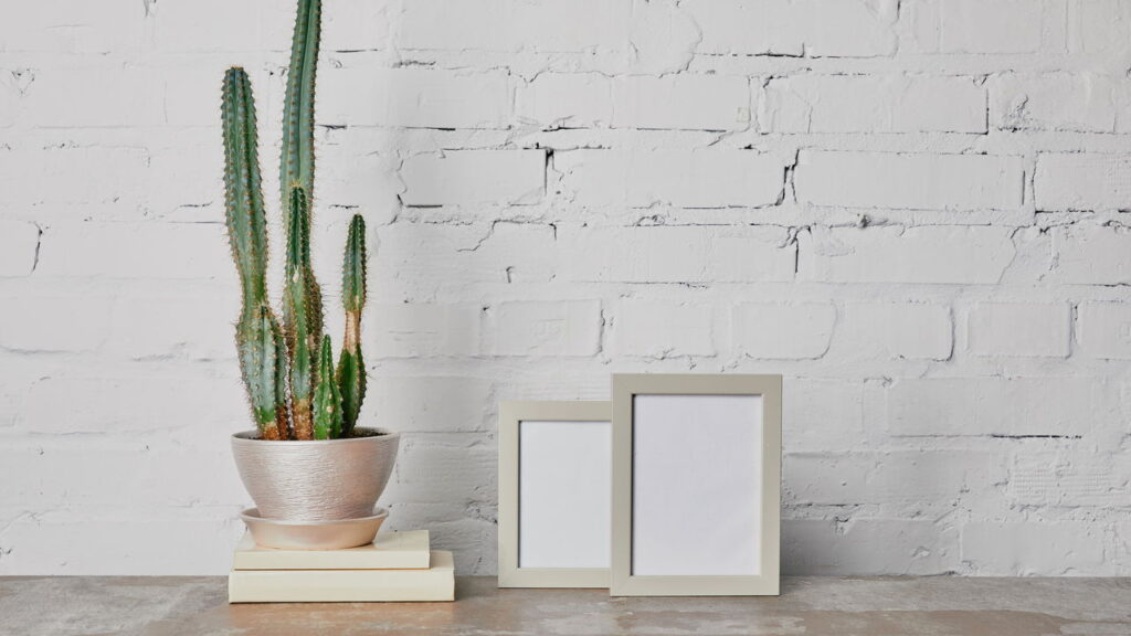 4 plantas exóticas que inspiram viagens imaginárias através da decoração