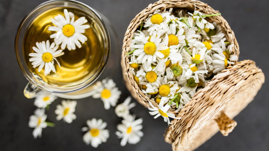 O segredo natural para aliviar dores de cabeça e tensão muscular