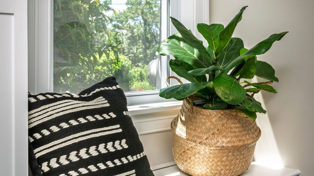 Cantinho de leitura em casa pode ser simples e acolhedor