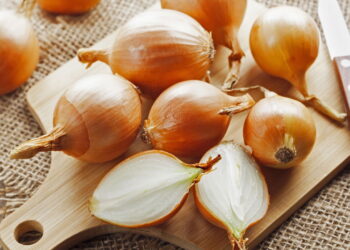 Como armazenar cebolas para durarem meses com frescor garantido