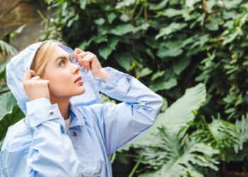 Plantas que florescem na estação chuvosa e elevam humores úmidos