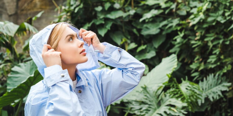 Plantas que florescem na estação chuvosa e elevam humores úmidos
