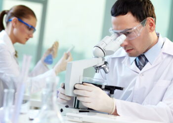 Cientistas encontram ave considerada extinta há quase dois séculos