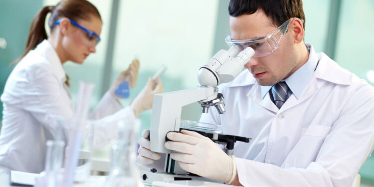 Cientistas encontram ave considerada extinta há quase dois séculos