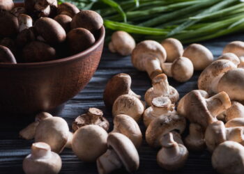 Maneiras ideais de guardar cogumelos úmidos para durarem dias