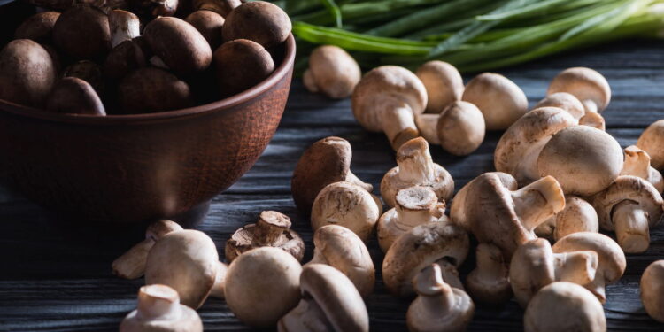 Maneiras ideais de guardar cogumelos úmidos para durarem dias