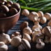Maneiras ideais de guardar cogumelos úmidos para durarem dias