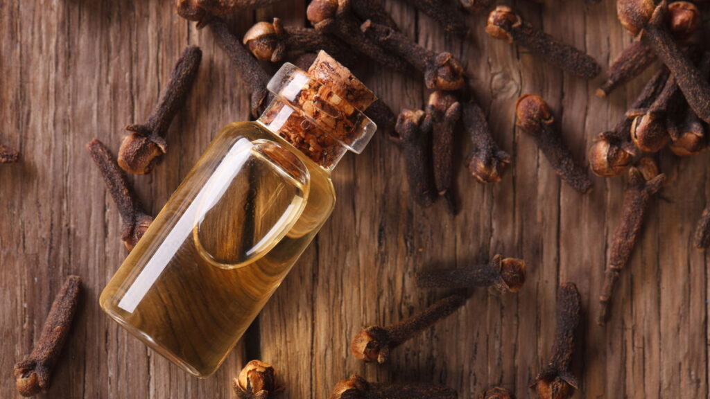 Formas naturais protegem gavetas contra pragas e mau cheiro