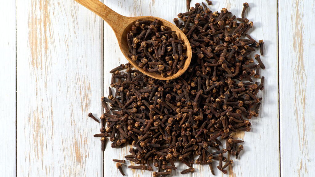 Como afastar cupins e traças de sofás e guarda-roupas