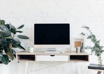 Decorações naturais com plantas melhoram ambientes