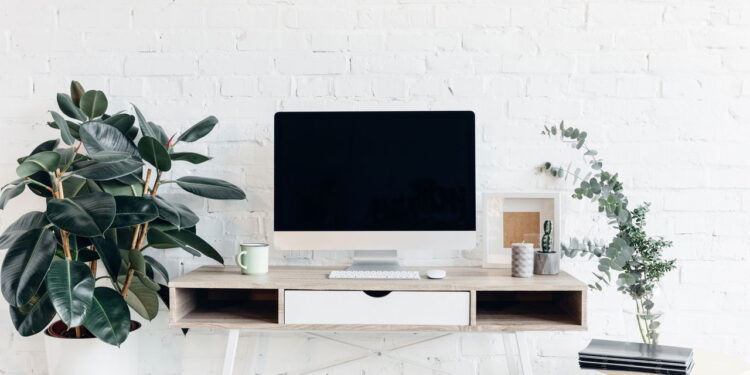 Decorações naturais com plantas melhoram ambientes