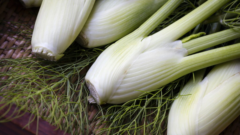 4 plantas que aliviam sintomas de TPM de forma gentil