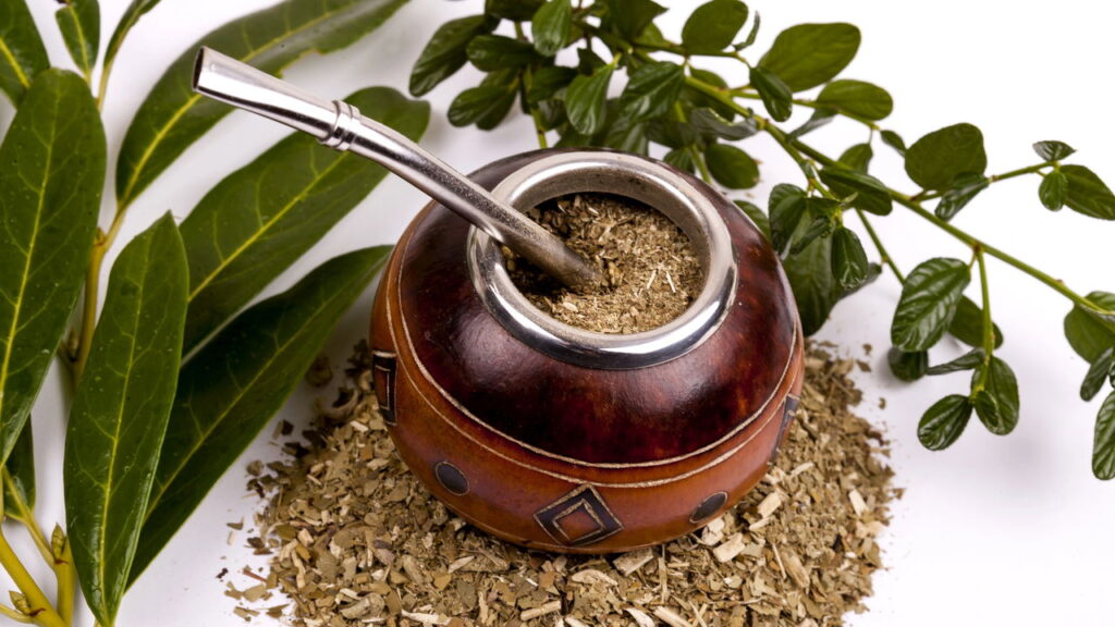 3 ervas que impulsionam a energia feminina e combatem a fadiga diária