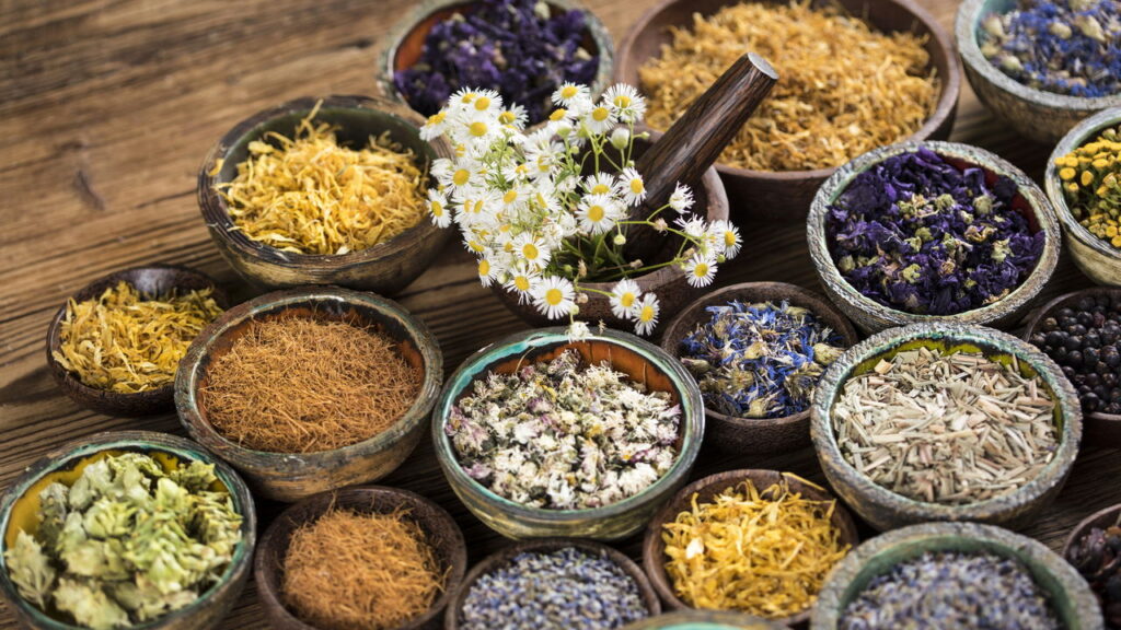 Melhores plantas para arranjar em mesas e criar refeições acolhedoras