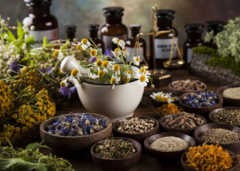 Jardinagem terapêutica mostra como cultivar pode virar hábito de autocuidado