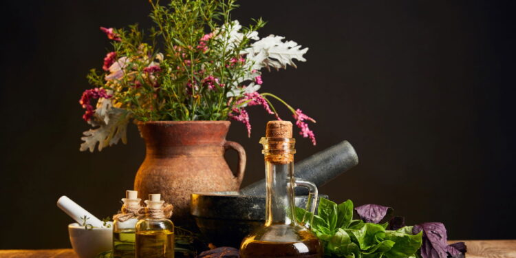 3 ervas para acelerar a cicatrização e cuidar da saúde da pele