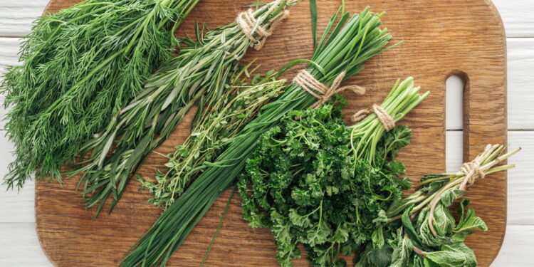 3 plantas que apoiam a saúde linfática com drenagem suave