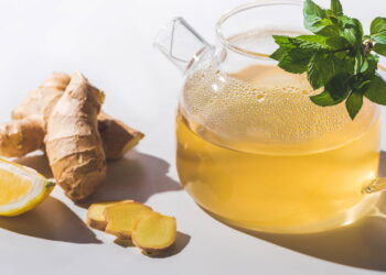 As plantas que fortalecem o sistema imunológico naturalmente